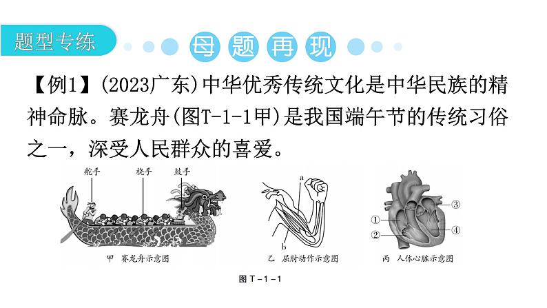 中考生物复习题型一读图理解教学课件第4页