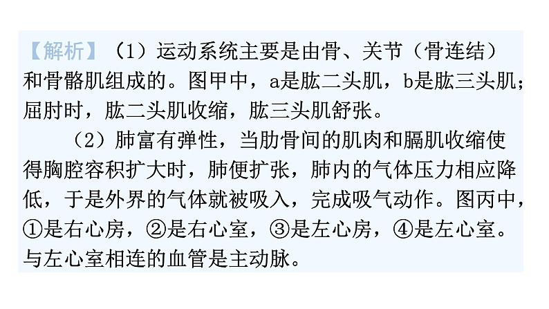 中考生物复习题型一读图理解教学课件第7页