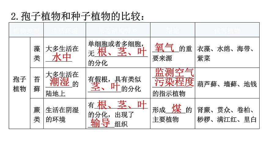 中考生物復(fù)習(xí)第三單元生物圈中的綠色植物第一章生物圈中有哪些綠色植物教學(xué)課件第8頁