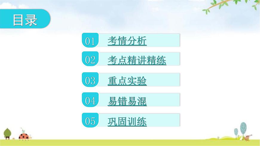 中考生物復習第三單元生物圈中的綠色植物第三章綠色植物與生物圈的水循環(huán)教學課件第2頁