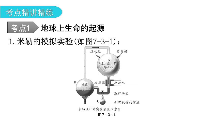 中考生物復(fù)習(xí)第七單元生物圈中生命的延續(xù)和發(fā)展第三章生命起源和生物進化教學(xué)課件第7頁