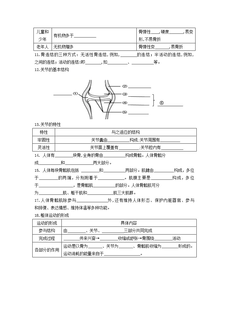 【期中單元知識(shí)點(diǎn)歸納】（北師大版）2023-2024學(xué)年八年級(jí)生物上冊(cè) 第15章 動(dòng)物的運(yùn)動(dòng) 試卷（原卷版）第3頁(yè)