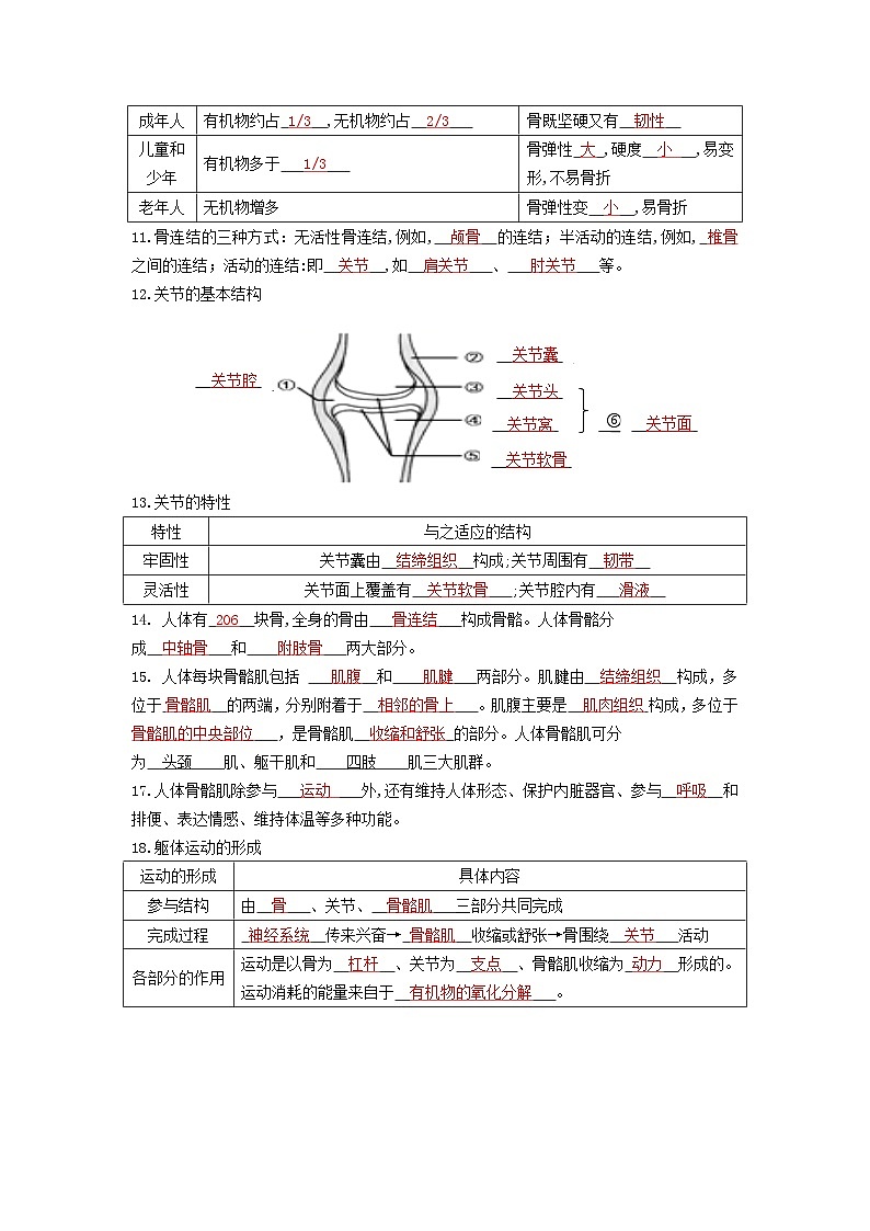 【期中單元知識(shí)點(diǎn)歸納】（北師大版）2023-2024學(xué)年八年級(jí)生物上冊(cè) 第15章 動(dòng)物的運(yùn)動(dòng) 試卷（解析版）第3頁(yè)