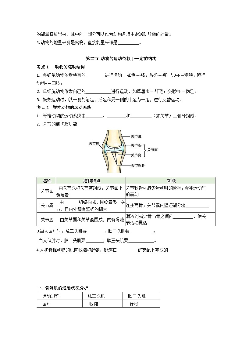 【期中单元知识点归纳】 (苏教版)2023-2024学年八年级生物上册 第十七章 动物的运动 讲义(原卷版)第2页