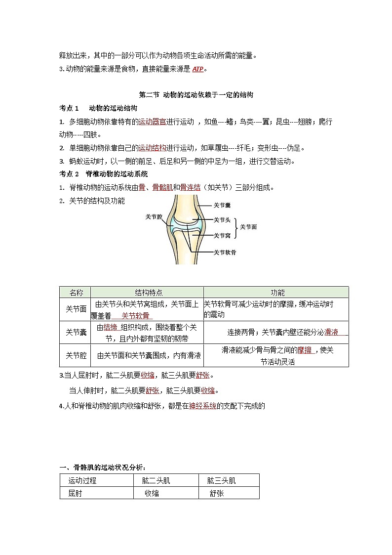 【期中单元知识点归纳】 (苏教版)2023-2024学年八年级生物上册 第十七章 动物的运动 讲义(解析版)第2页