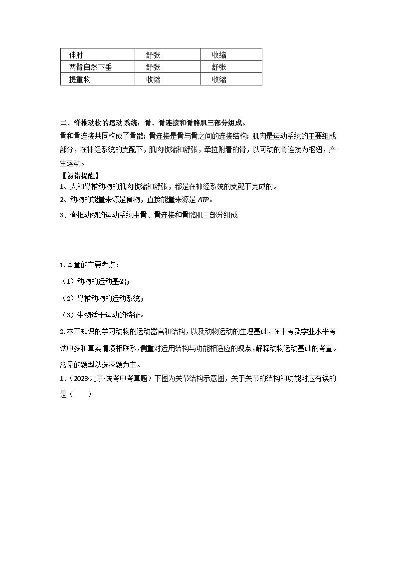 【期中单元知识点归纳】 (苏教版)2023-2024学年八年级生物上册 第十七章 动物的运动 讲义(解析版)第3页