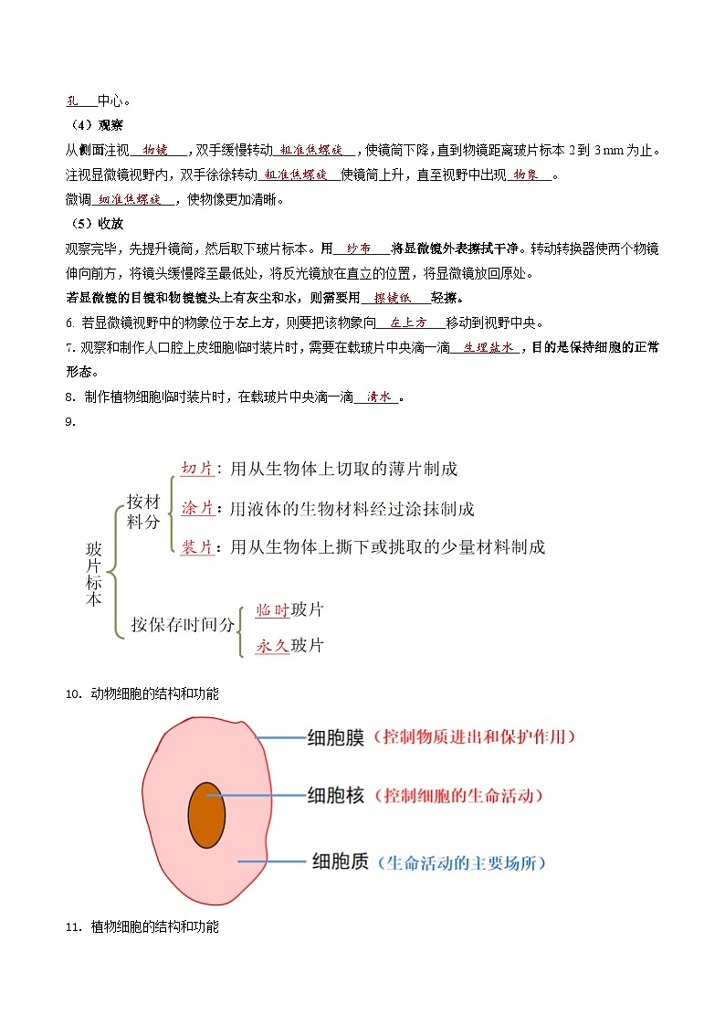 【期中单元知识点归纳】 (北师大版)2023-2024学年八年级生物上册 第2单元 生物体的结构 讲义02