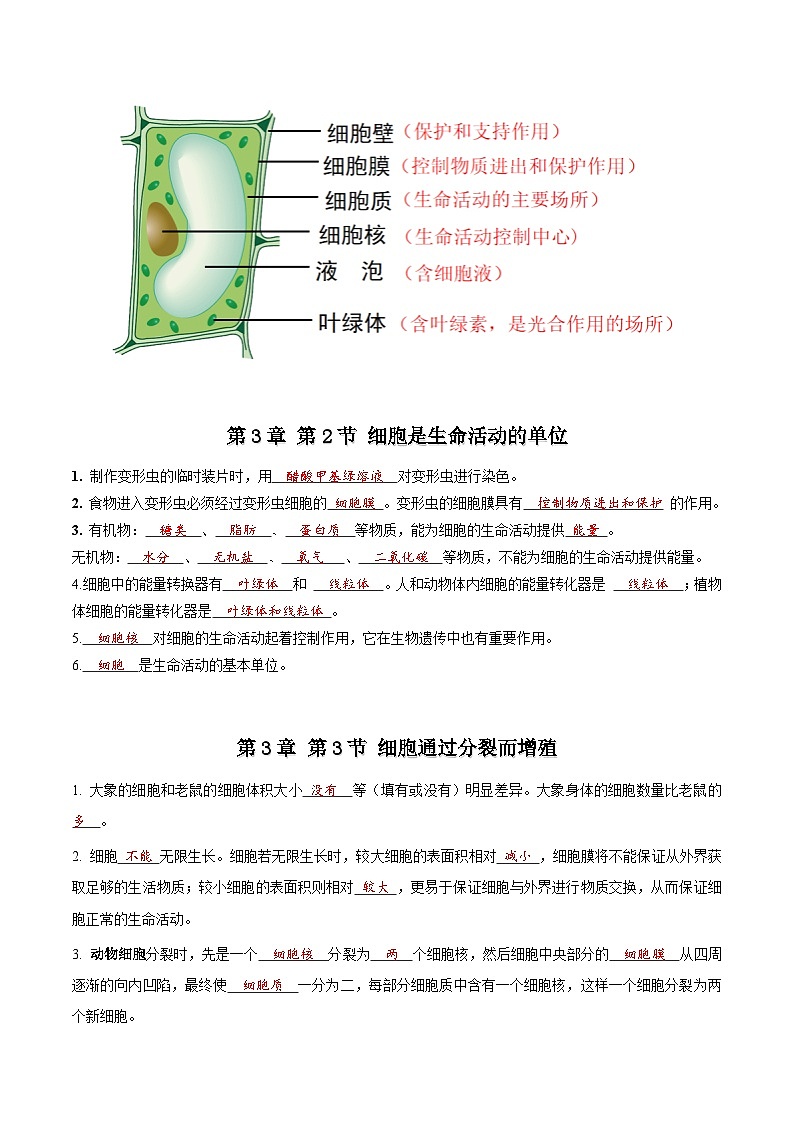 【期中单元知识点归纳】 (北师大版)2023-2024学年八年级生物上册 第2单元 生物体的结构 讲义03