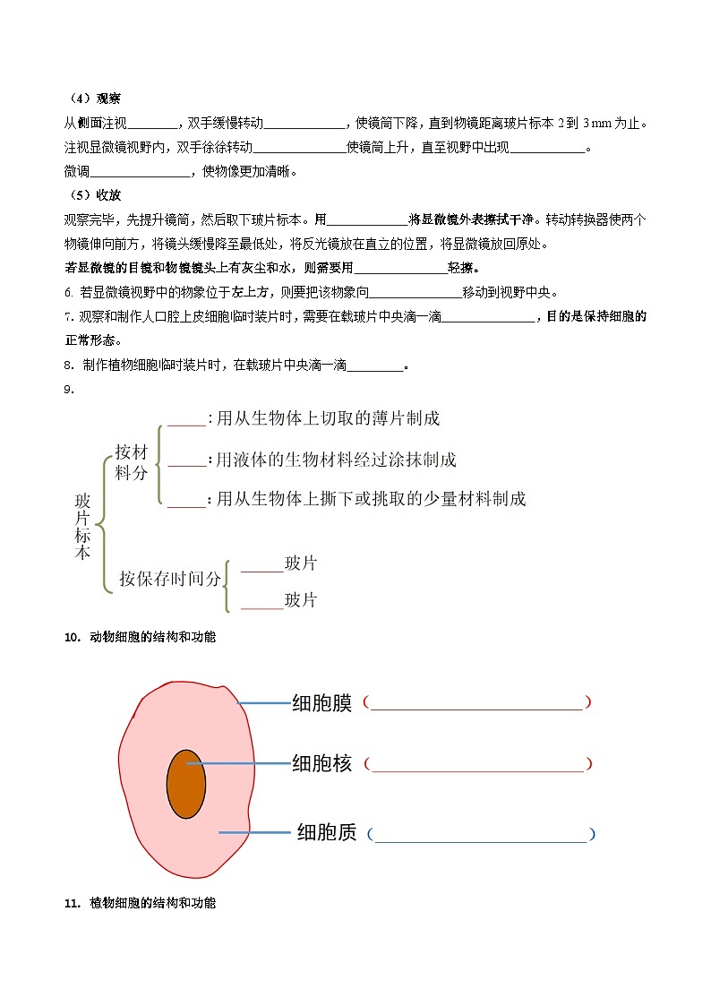 【期中单元知识点归纳】 (北师大版)2023-2024学年八年级生物上册 第2单元 生物体的结构 讲义02