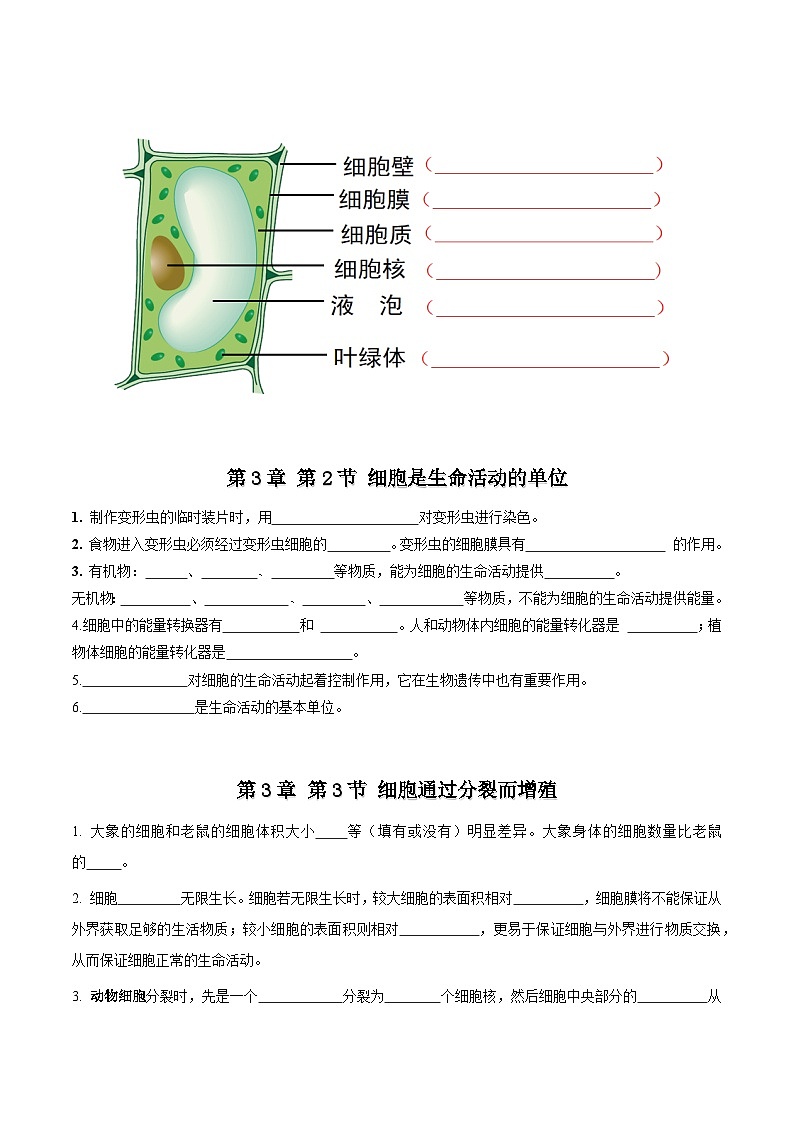 【期中单元知识点归纳】 (北师大版)2023-2024学年八年级生物上册 第2单元 生物体的结构 讲义03
