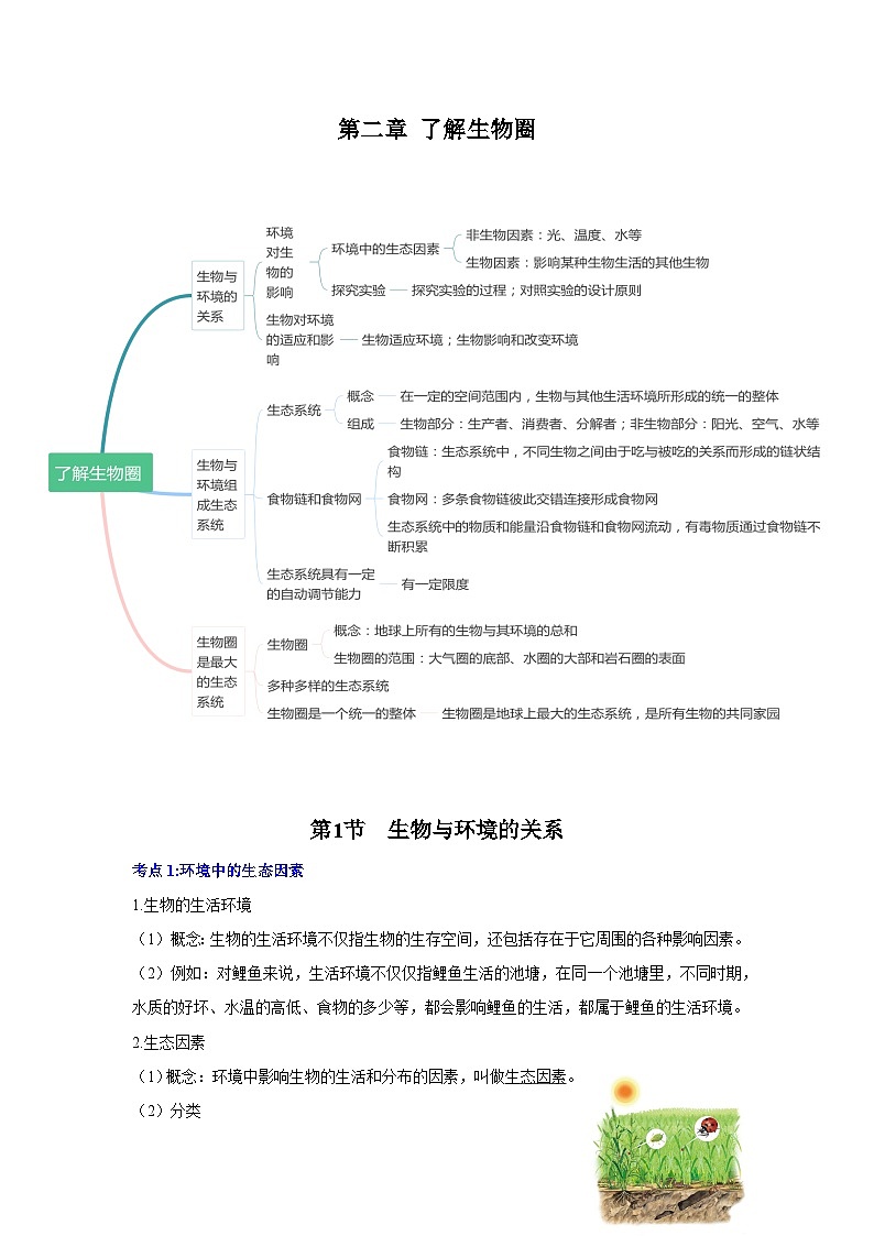 【期中单元知识点归纳】 2023-2024学年七年级生物上册 第二章 了解生物圈 讲义01