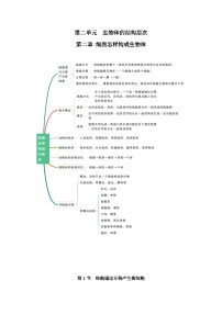 【期中单元知识点归纳】 2023-2024学年七年级生物上册 第二章 细胞怎样构成生物体 讲义