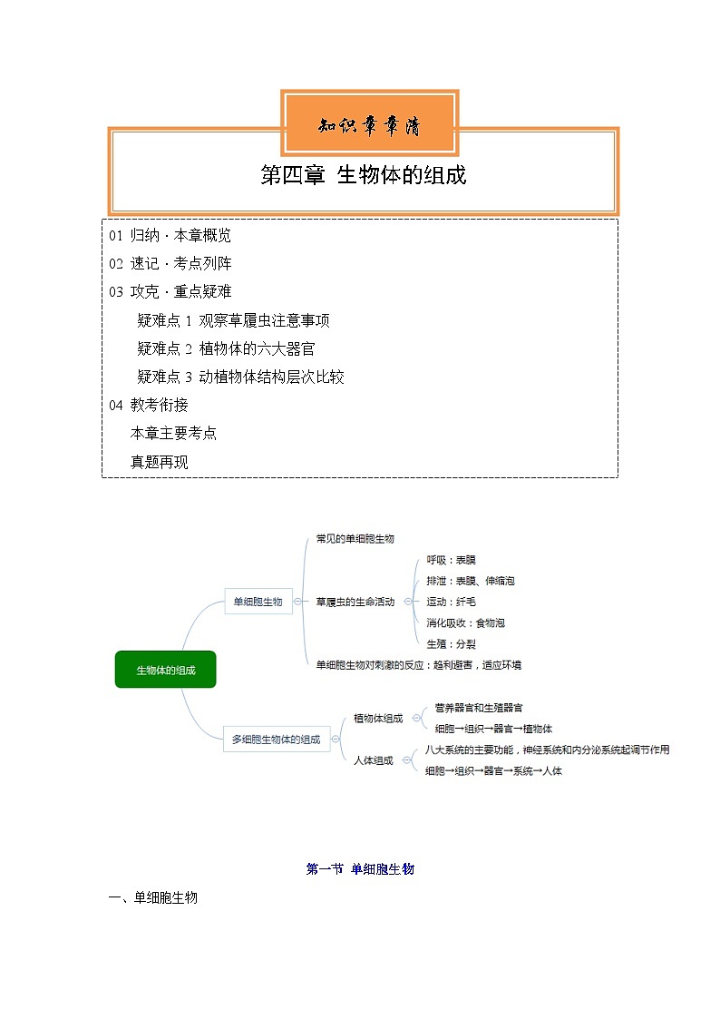 【期中单元知识点归纳】(苏教版)2023-2024学年七年级生物上册 第四章 生物体的组成 讲义(原卷版)第1页
