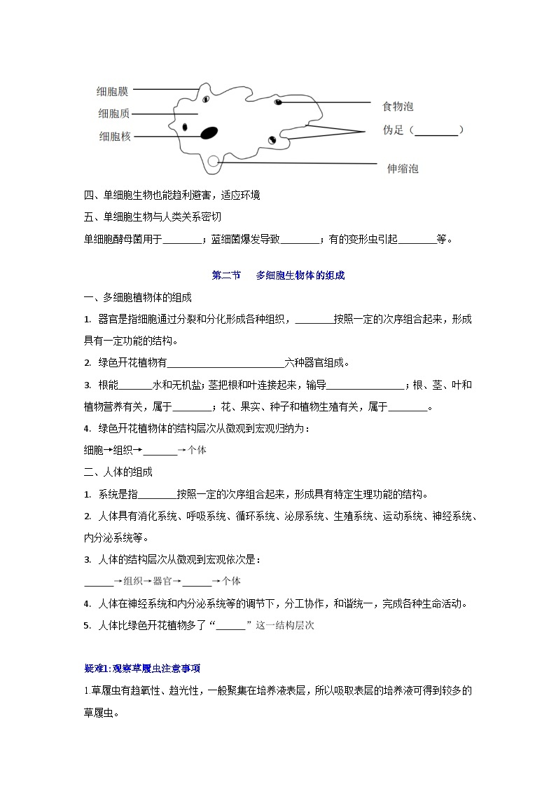 【期中单元知识点归纳】（苏教版）2023-2024学年七年级生物上册 第四章 生物体的组成 讲义03