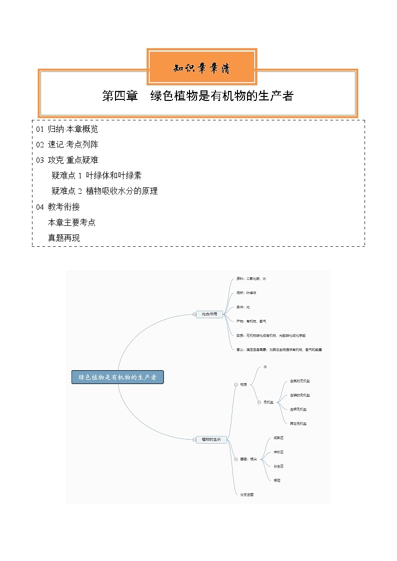 【期中单元知识点归纳】(苏科版)2023-2024学年七年级生物上册 第四章 绿色植物是有机物的生产者 讲义(原卷版)第1页