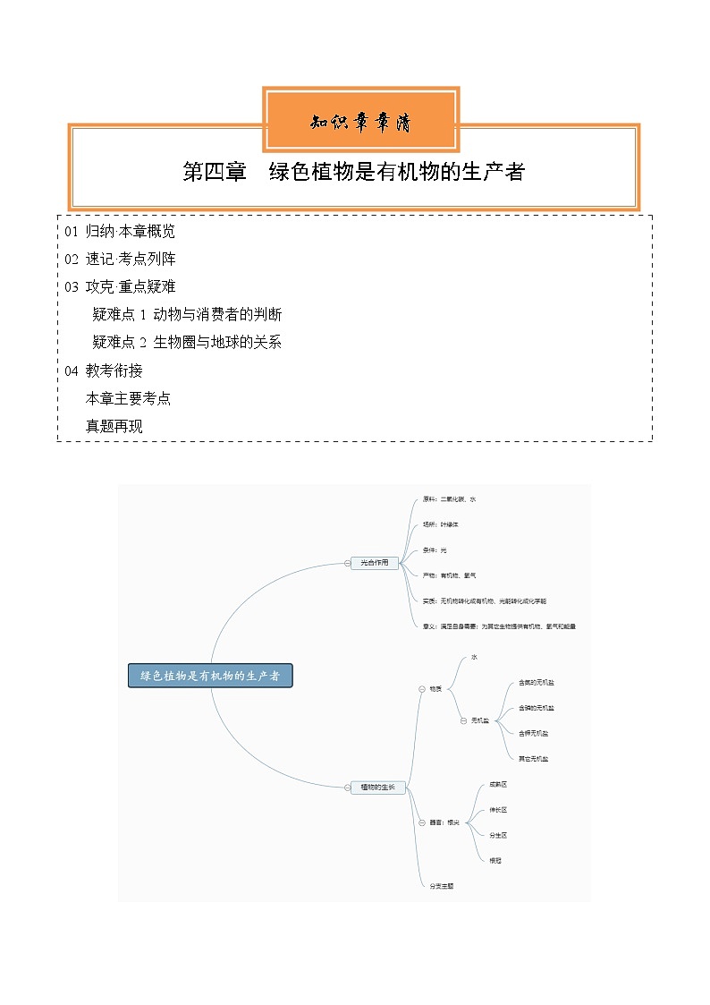 【期中单元知识点归纳】(苏科版)2023-2024学年七年级生物上册 第四章 绿色植物是有机物的生产者 讲义(解析版)第1页
