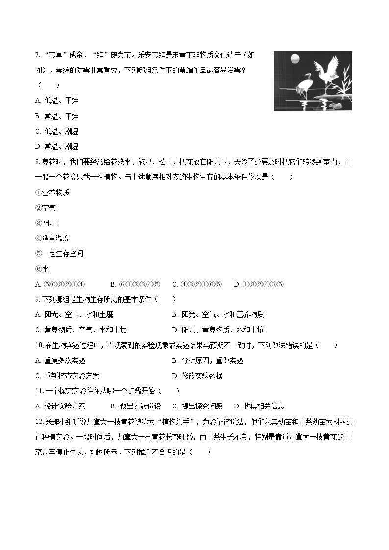 山东省滨州市无棣县西小王镇中学2023-2024学年八年级上学期开学生物试卷02