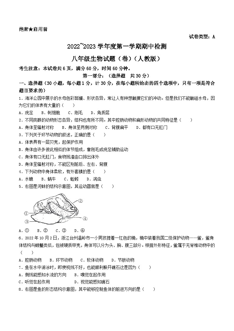 陕西省西安市第七十中学2022-2023学年八年级上学期期中生物试题第1页