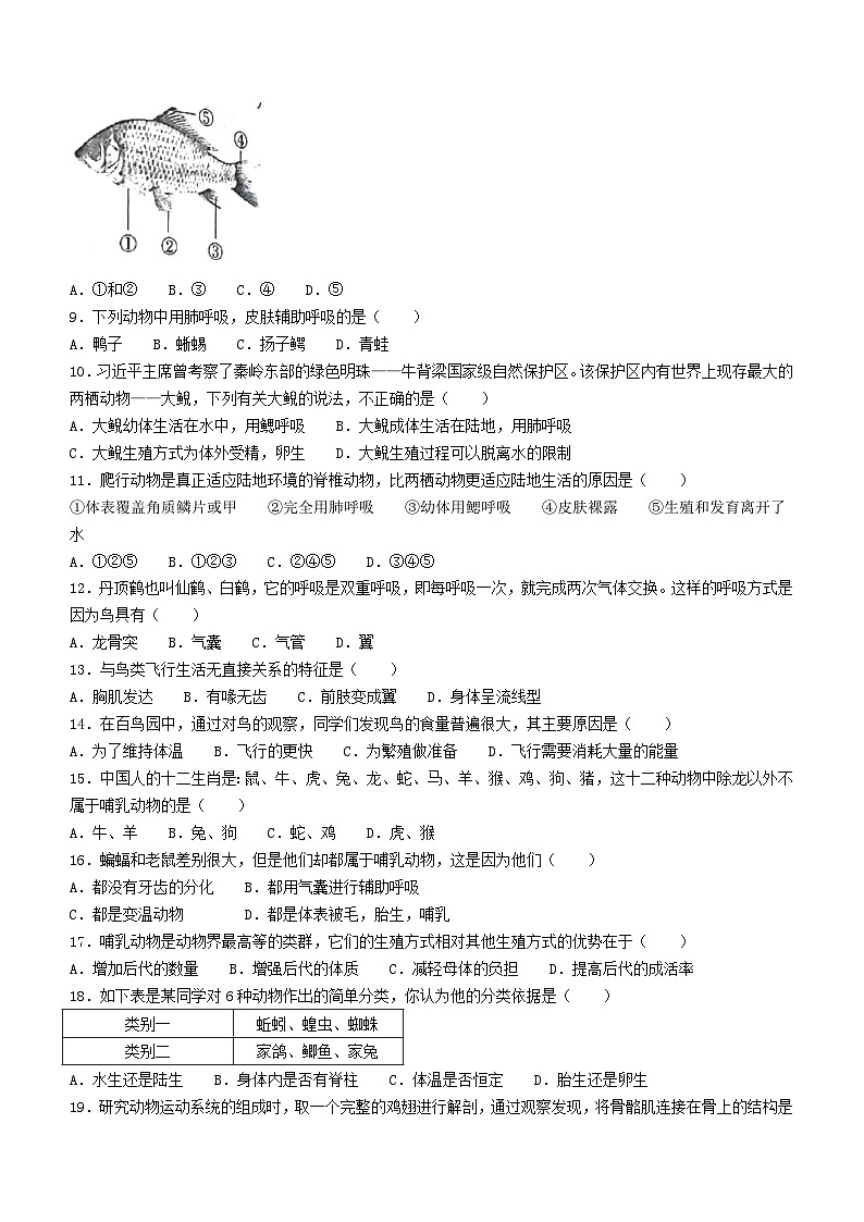 陕西省西安市第七十中学2022-2023学年八年级上学期期中生物试题第2页