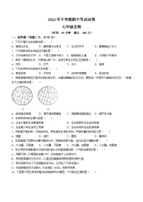 湖南省常德市澧县2022-2023学年七年级上学期期中生物试题