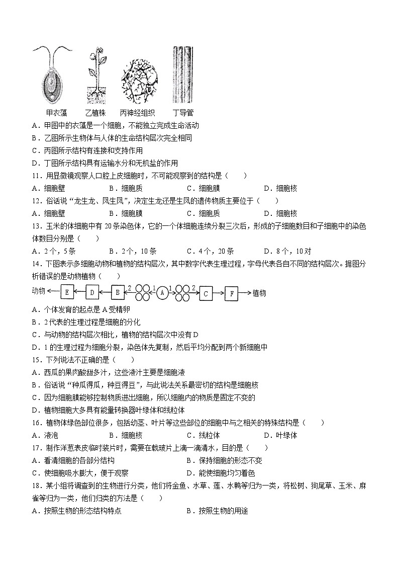湖南省常德市澧县2022-2023学年七年级上学期期中生物试题第2页