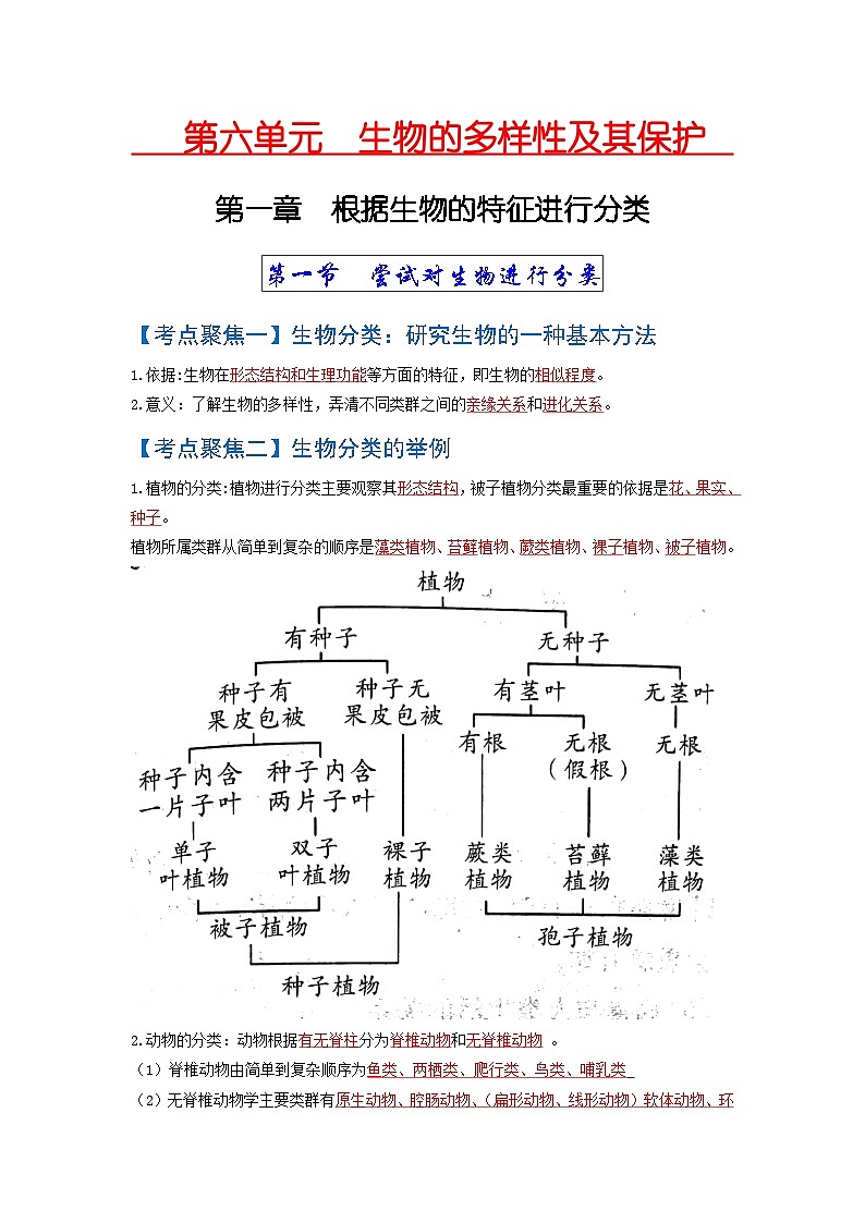 考点05  生物的多样性及其保护 中考生物 知识点复习(人教版)01