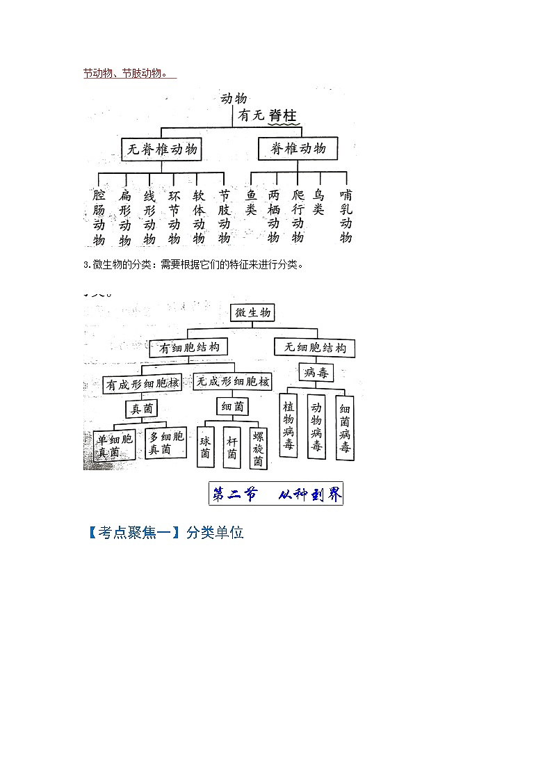 考点05  生物的多样性及其保护 中考生物 知识点复习(人教版)02