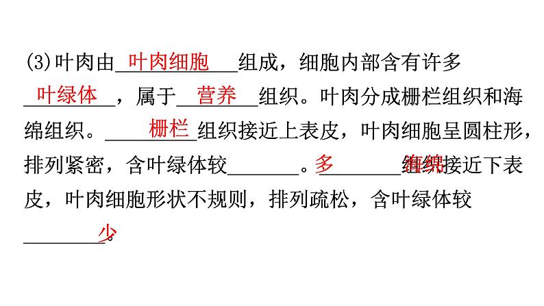 北师大版七年级生物上册第3单元第5章绿色开花植物的生活方式练习课件07