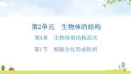 初中生物北师大版七年级上册第二单元  生物体的结构第4章  生物体的结构层次第1节 细胞分化形成组织作业课件ppt