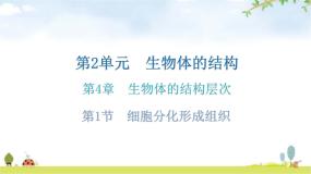 初中生物北师大版七年级上册第二单元  生物体的结构第4章  生物体的结构层次第1节 细胞分化形成组织作业课件ppt