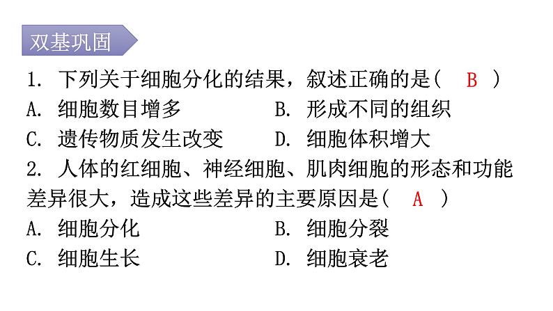 北师大版七年级生物上册第2单元第4章第1节细胞分化形成组织分层作业课件02