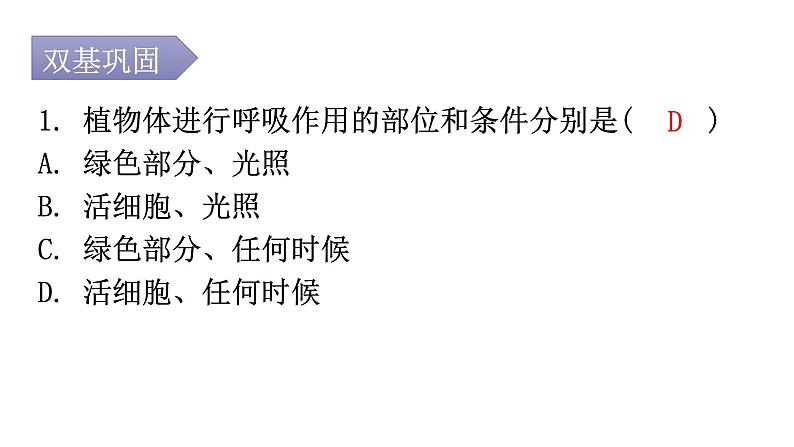 北师大版七年级生物上册第3单元第5章第2节呼吸作用分层作业课件02