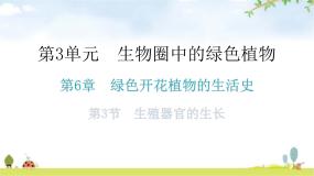 北师大版七年级上册第3节  生殖器官的生长作业课件ppt