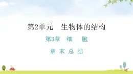 北师大版七年级生物上册第2单元第3章章末总结教学课件