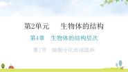 初中第1节 细胞分化形成组织教学课件ppt