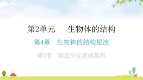 初中第1节 细胞分化形成组织教学课件ppt