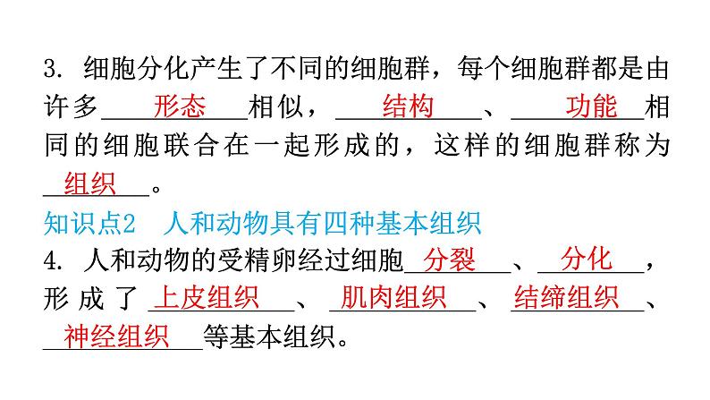 北师大版七年级生物上册第2单元第4章第1节细胞分化形成组织教学课件06