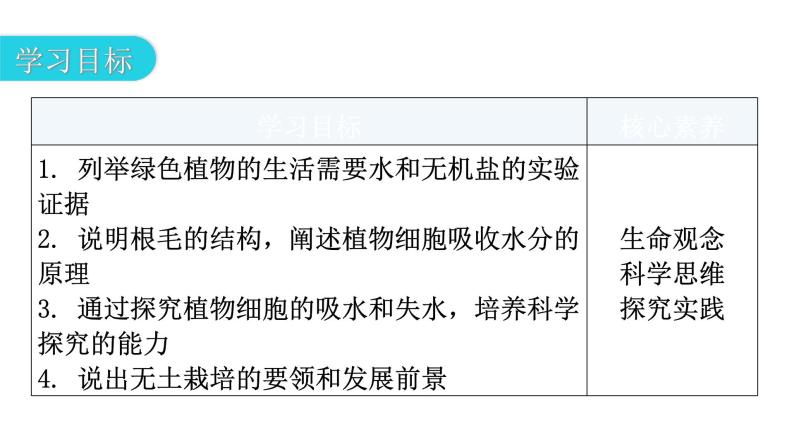 北师大版七年级生物上册第3单元第5章第3节吸收作用教学课件03