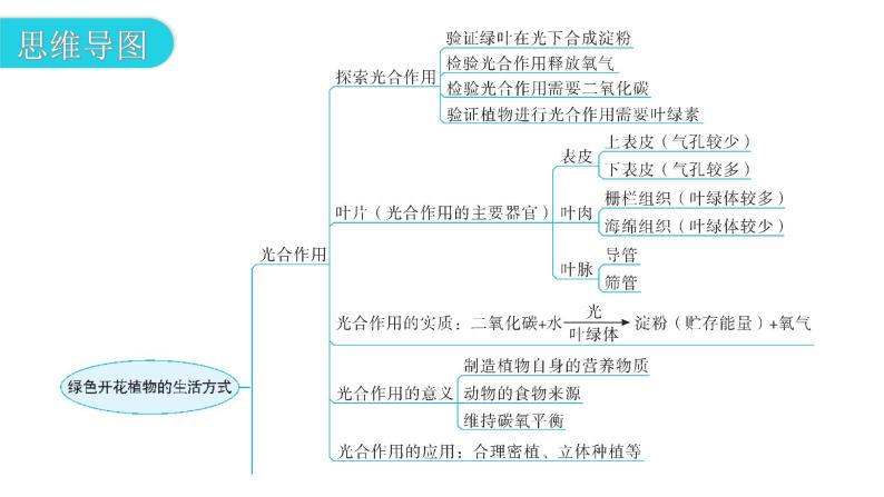 北师大版七年级生物上册第3单元第5章章末总结教学课件03