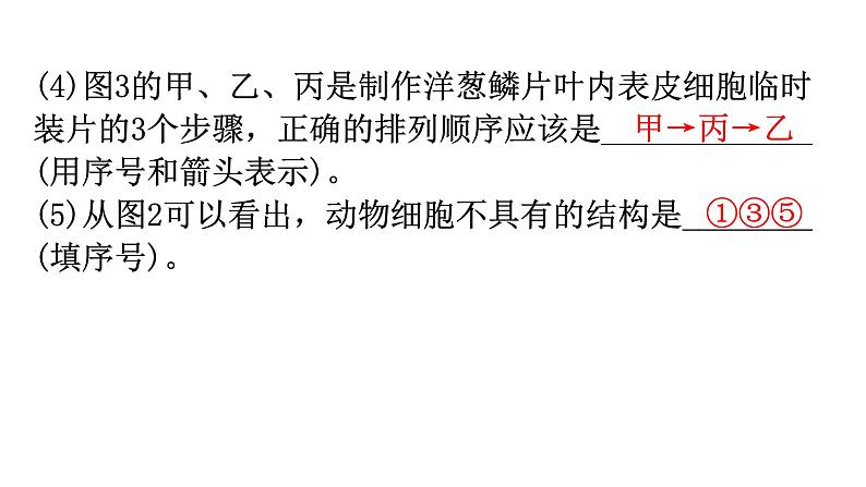 北师大版七年级生物上册专项训练一读图理解课件04