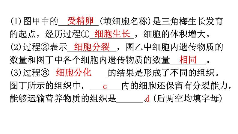 北师大版七年级生物上册专项训练一读图理解课件06