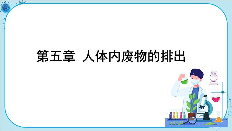 人教版生物七下 5《人体内废物的排出》课件PPT01