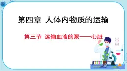 人教版生物七下 4.3《输送血液的泵——心脏》课件PPT