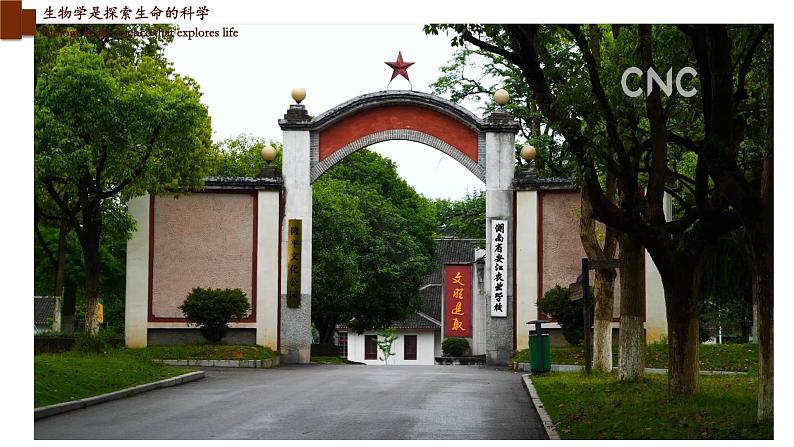 1.2.1+生物学是探索生命的科学-【精华备课】2023-2024学年七年级生物上册同步教学课件(北师大版)07