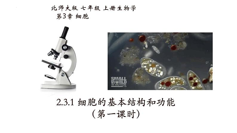 2.3.1+细胞的基本结构和功能(第一课时)-【精华备课】2023-2024学年七年级生物上册同步教学课件(北师大版)01