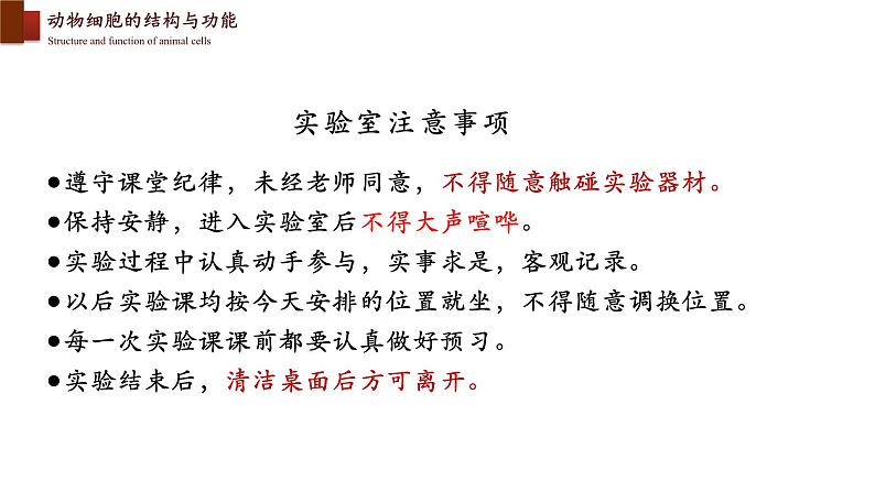 2.3.1+细胞的基本结构和功能(第二课时)-【精华备课】2023-2024学年七年级生物上册同步教学课件(北师大版)03
