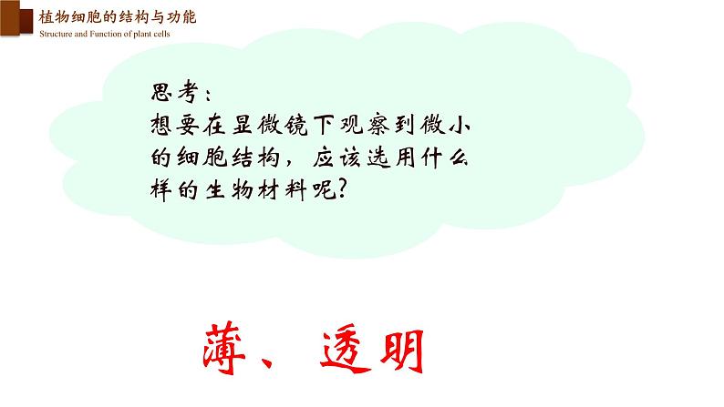 2.3.1 细胞的基本结构和功能(第三课时)第6页