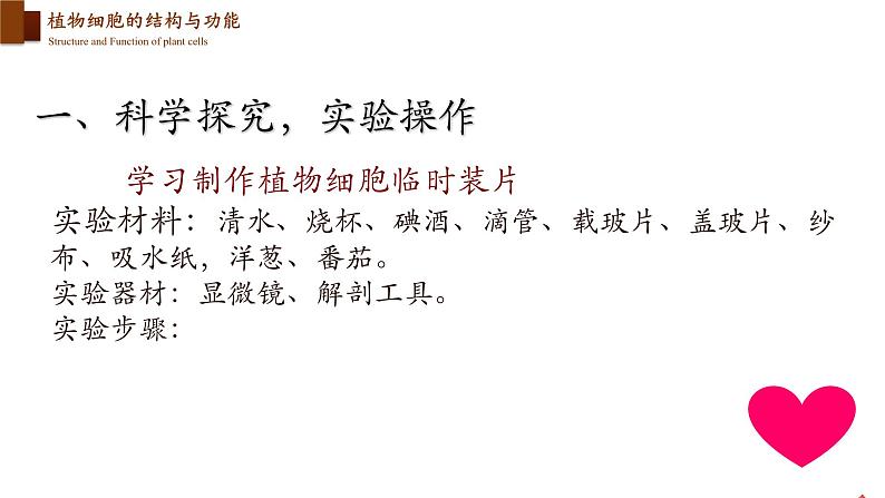 2.3.1 细胞的基本结构和功能(第三课时)第7页