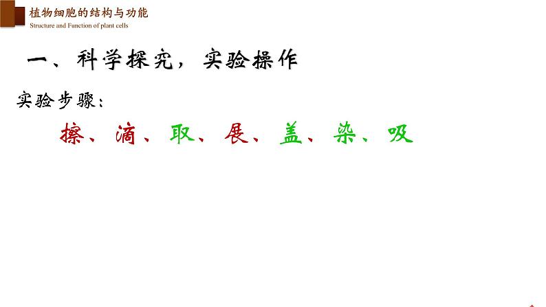 2.3.1 细胞的基本结构和功能(第三课时)第8页