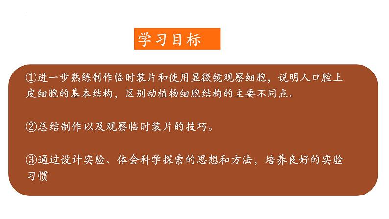 2.3.1+细胞的基本结构和功能(第四课时)-【精华备课】2023-2024学年七年级生物上册同步教学课件(北师大版)02
